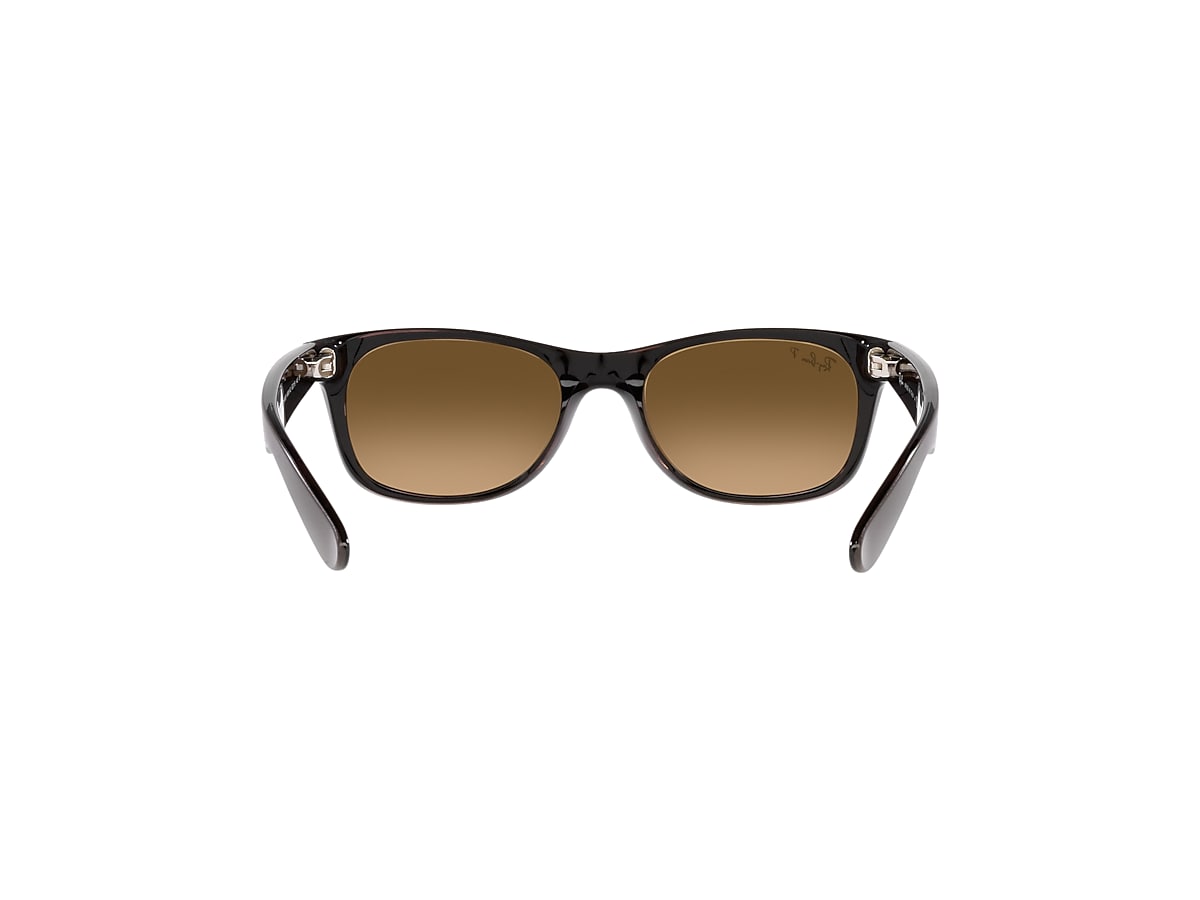 NEW WAYFARER CLASSIC Sunglasses in Transparent Brown and
