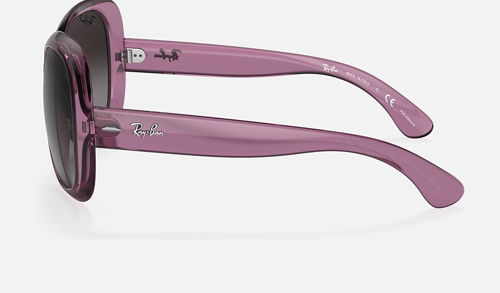 snatch tyveri Kollisionskursus Jackie Ohh Ii Transparent Sunglasses in Transparent Violet and Grey | Ray- Ban®