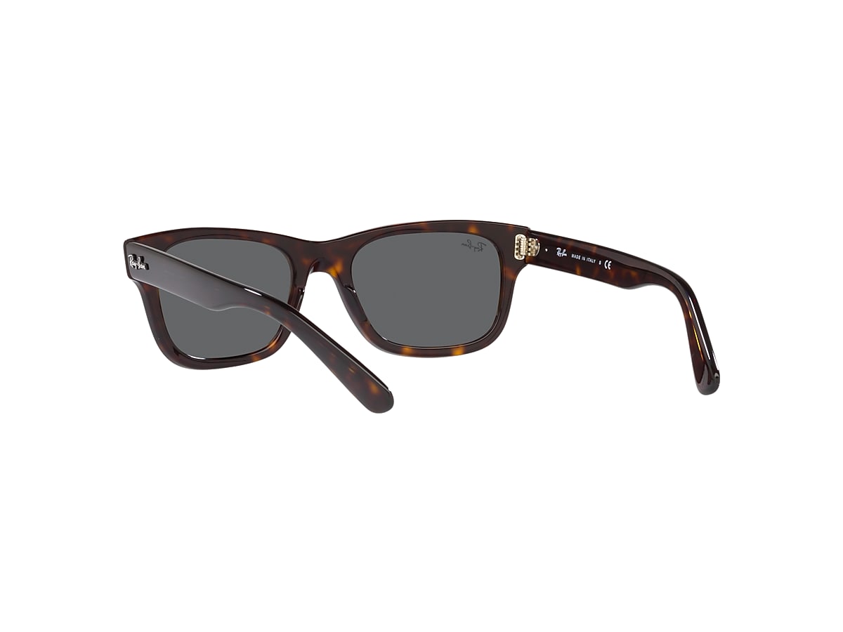 BURBANK Sunglasses in Havana and Dark Grey - RB2283 | Ray-Ban® US