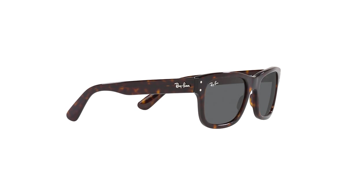 BURBANK Sunglasses in Havana and Dark Grey - RB2283 | Ray-Ban® US