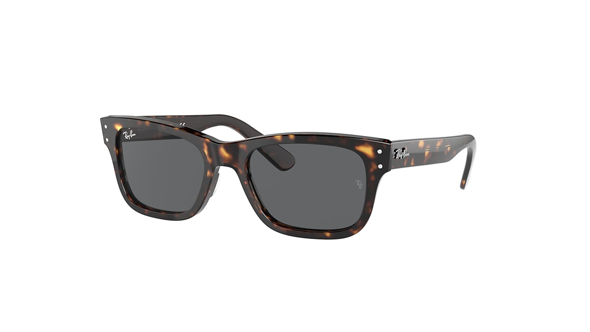 BURBANK Sunglasses in Havana and Dark Grey - RB2283 | Ray