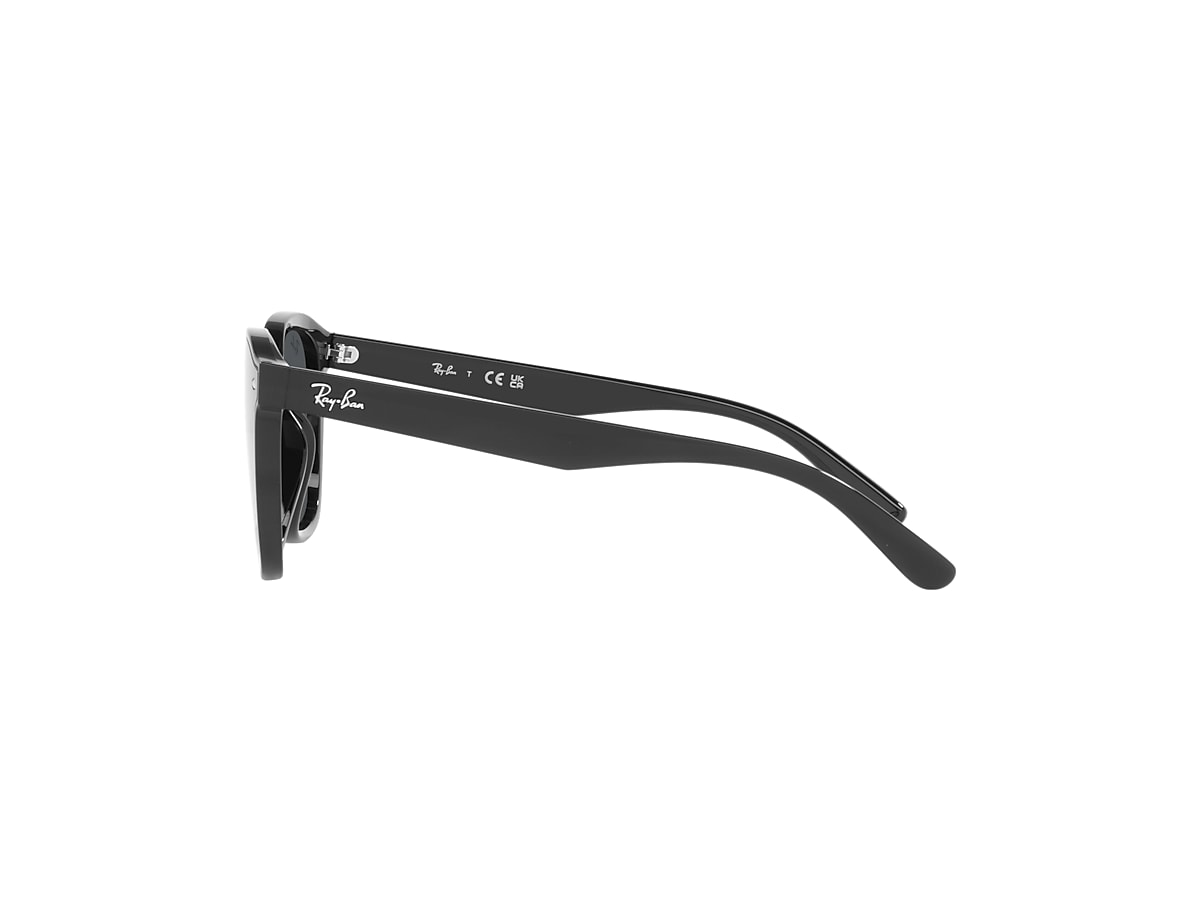 レイバン公式ストア】 Ray-Ban® RB4392D サングラス | ブラック X