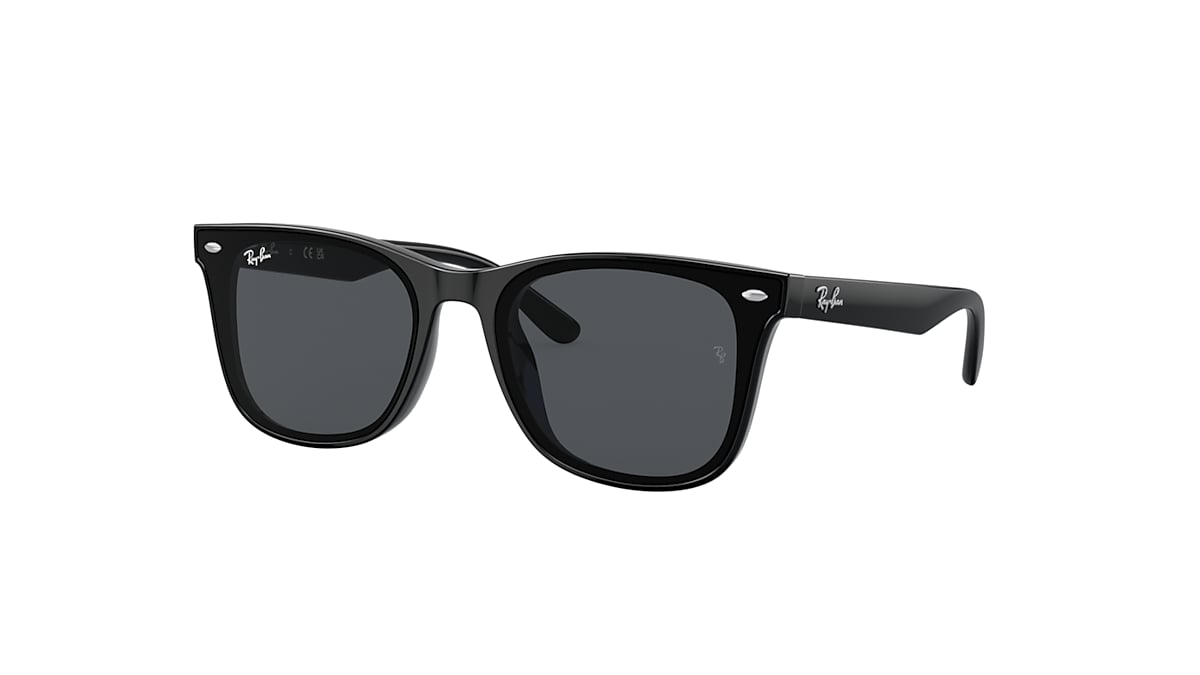 【レイバン公式ストア】 Ray-Ban® RB4391D サングラス | ブラック