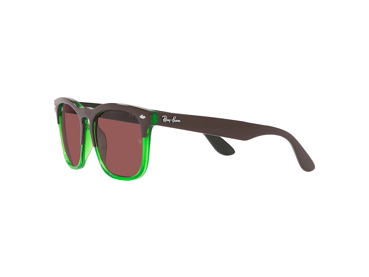 STEVE Sunglasses in Dark Brown On Transparent Green and Dark