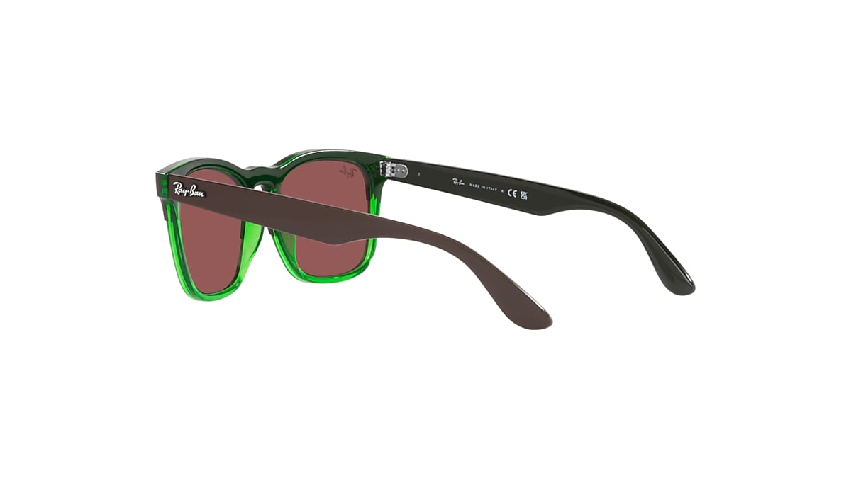 STEVE Sunglasses in Dark Brown On Transparent Green and Dark