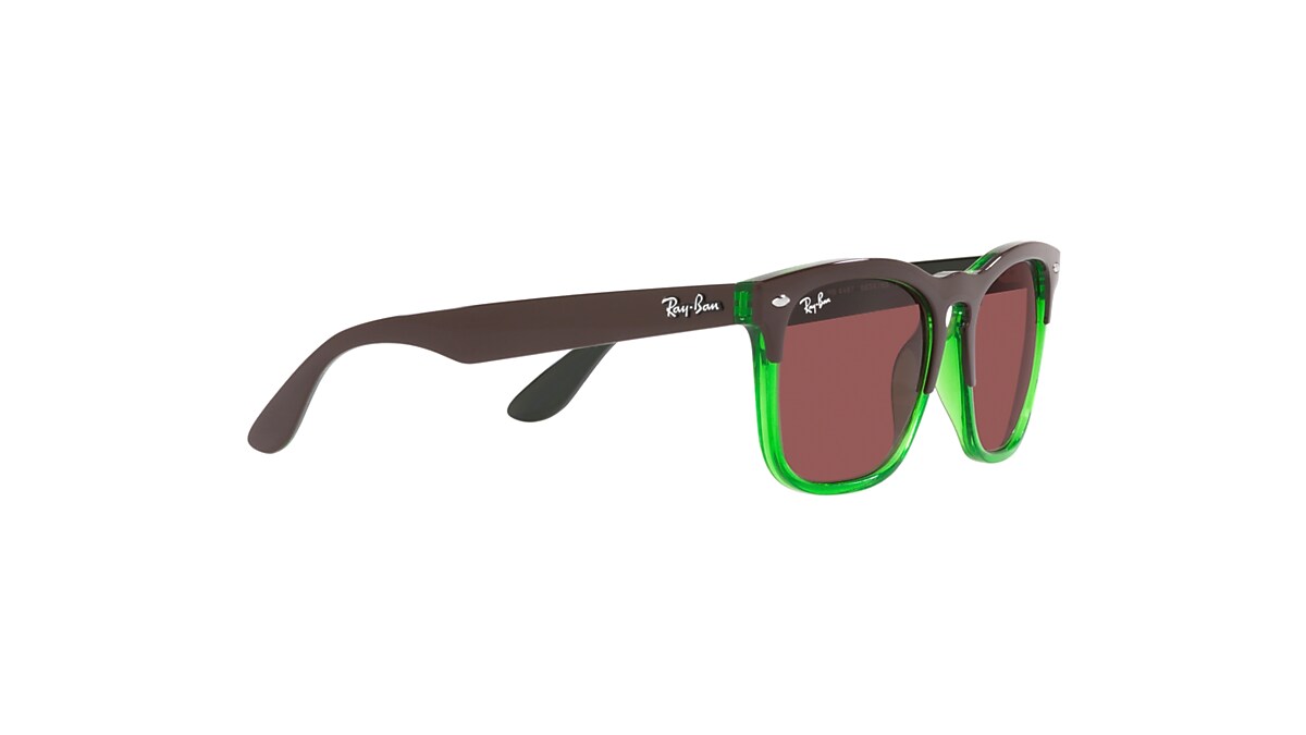 STEVE Sunglasses in Dark Brown On Transparent Green and Dark