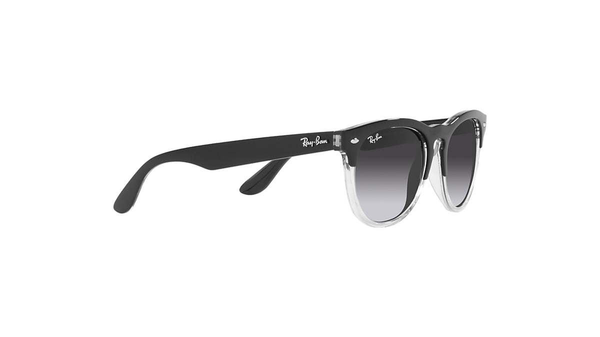IRIS Sunglasses in Black On Transparent and Grey - RB4471 | Ray 