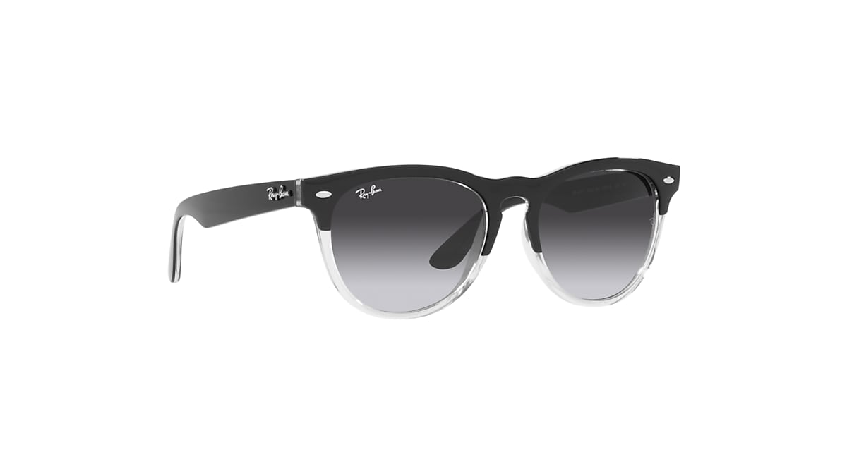 IRIS Sunglasses in Black On Transparent and Grey - RB4471 | Ray