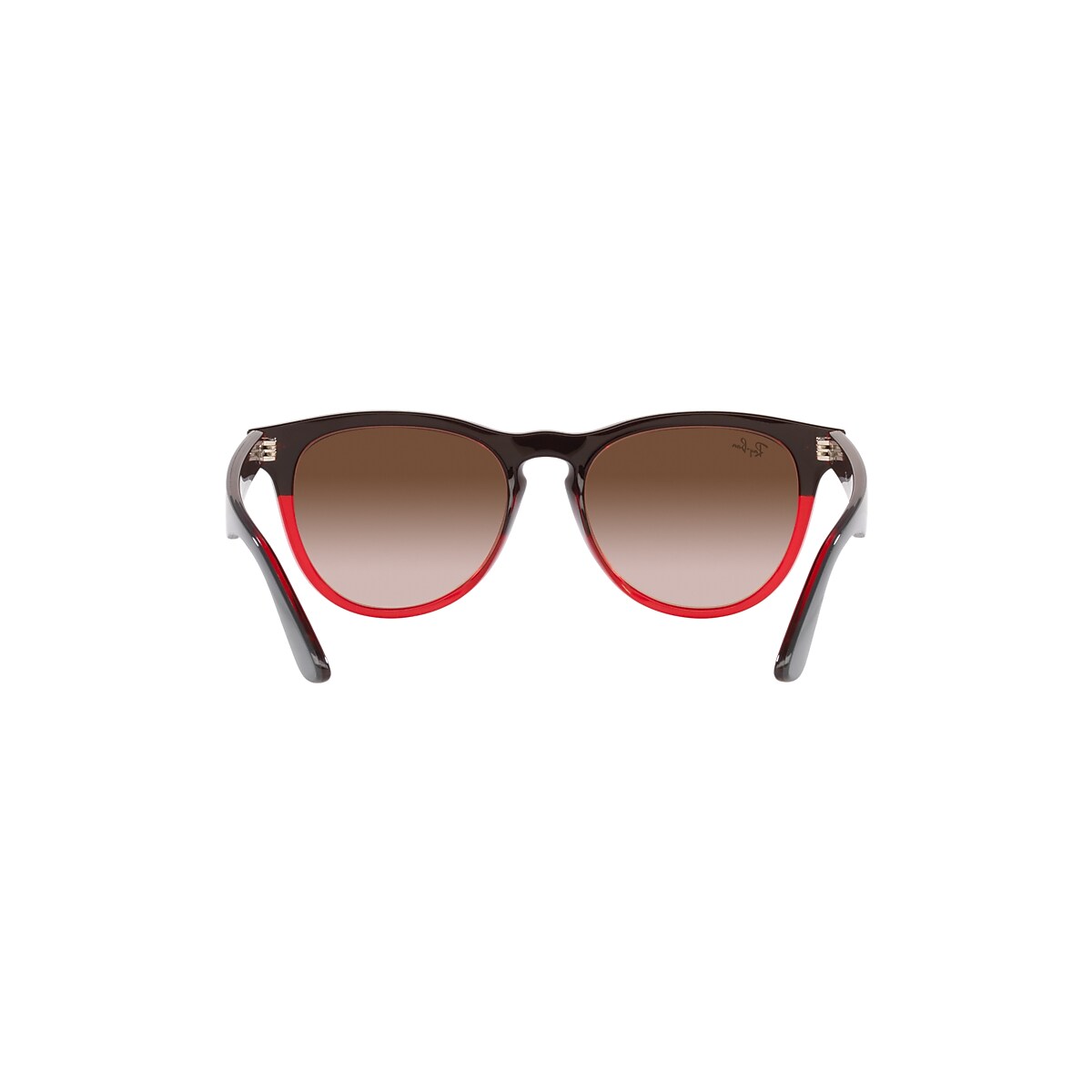 IRIS Sunglasses in Grey On Transparent Red and Brown - RB4471