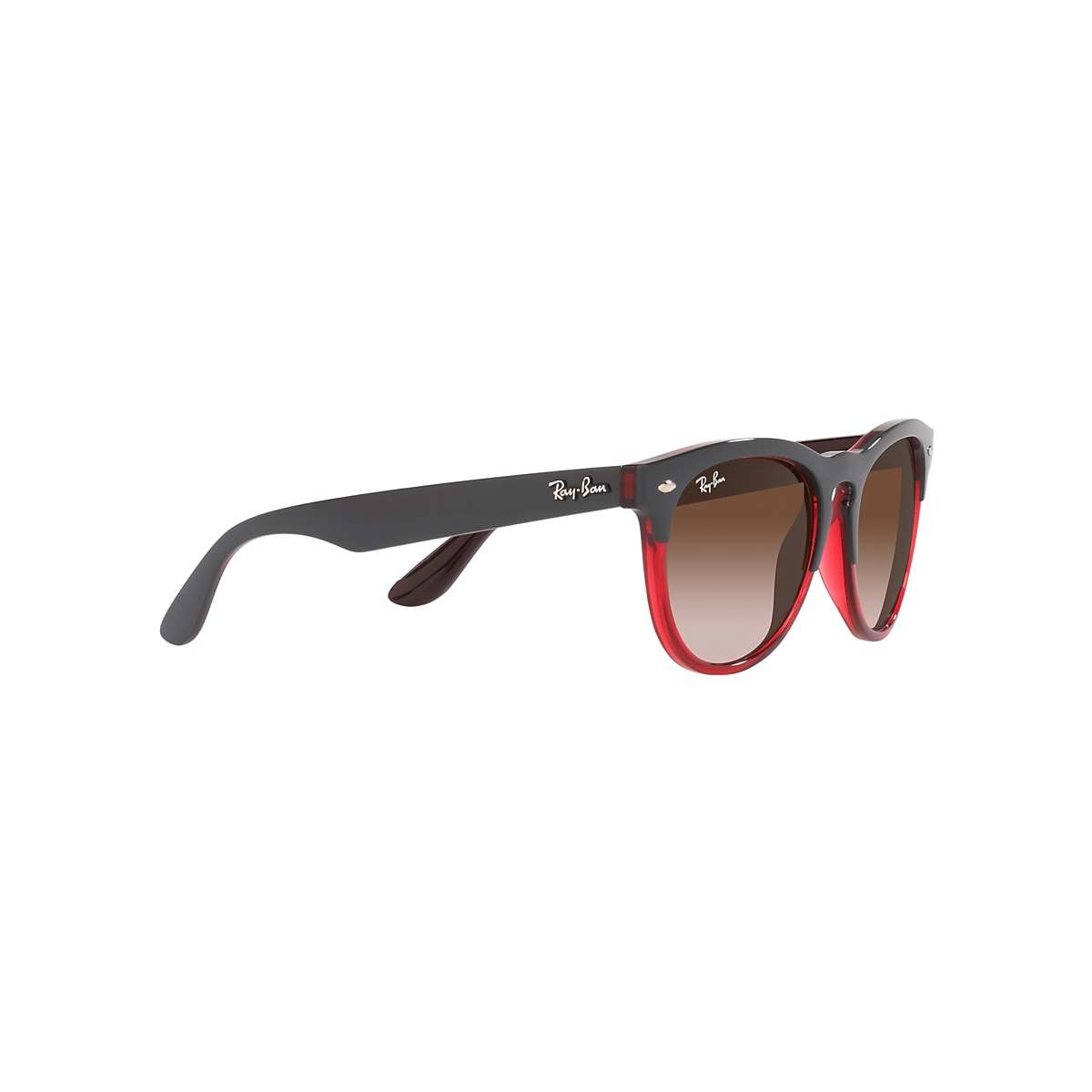 IRIS Sunglasses in Grey On Transparent Red and Brown - RB4471