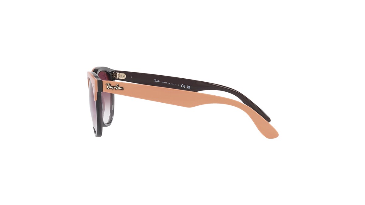 IRIS Sunglasses in Beige On Transparent Grey and Violet - RB4471