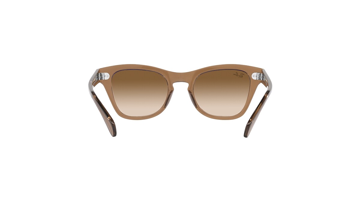 RB0707S Sunglasses in Transparent Light Brown and Brown