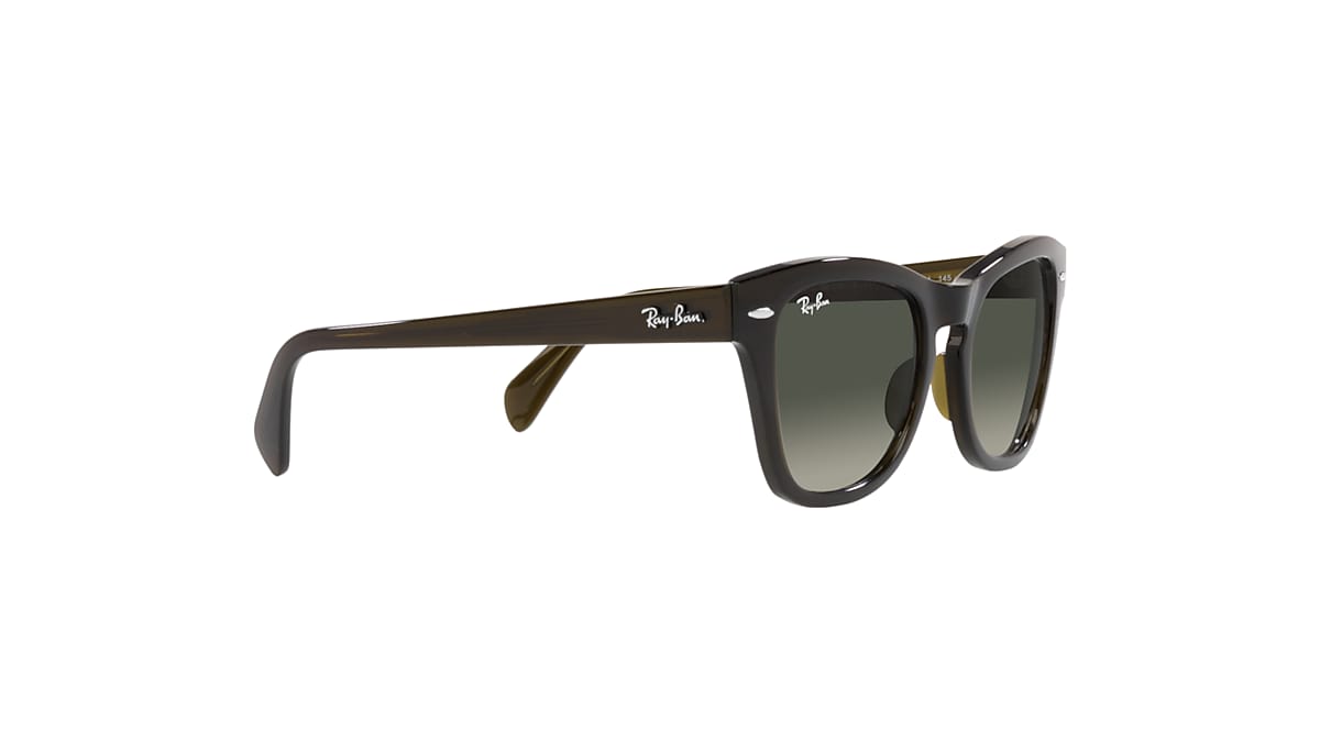 RB0707S Sunglasses in Transparent Olive Green and Grey - Ray-Ban