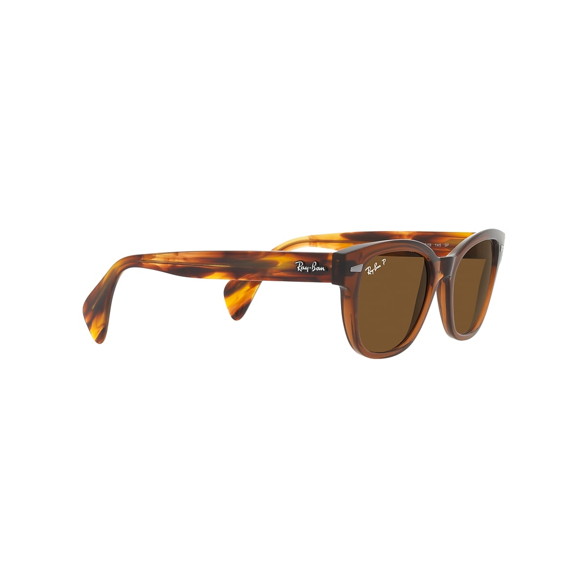 RB0880S Sunglasses in Transparent Brown and Brown - RB0880S | Ray