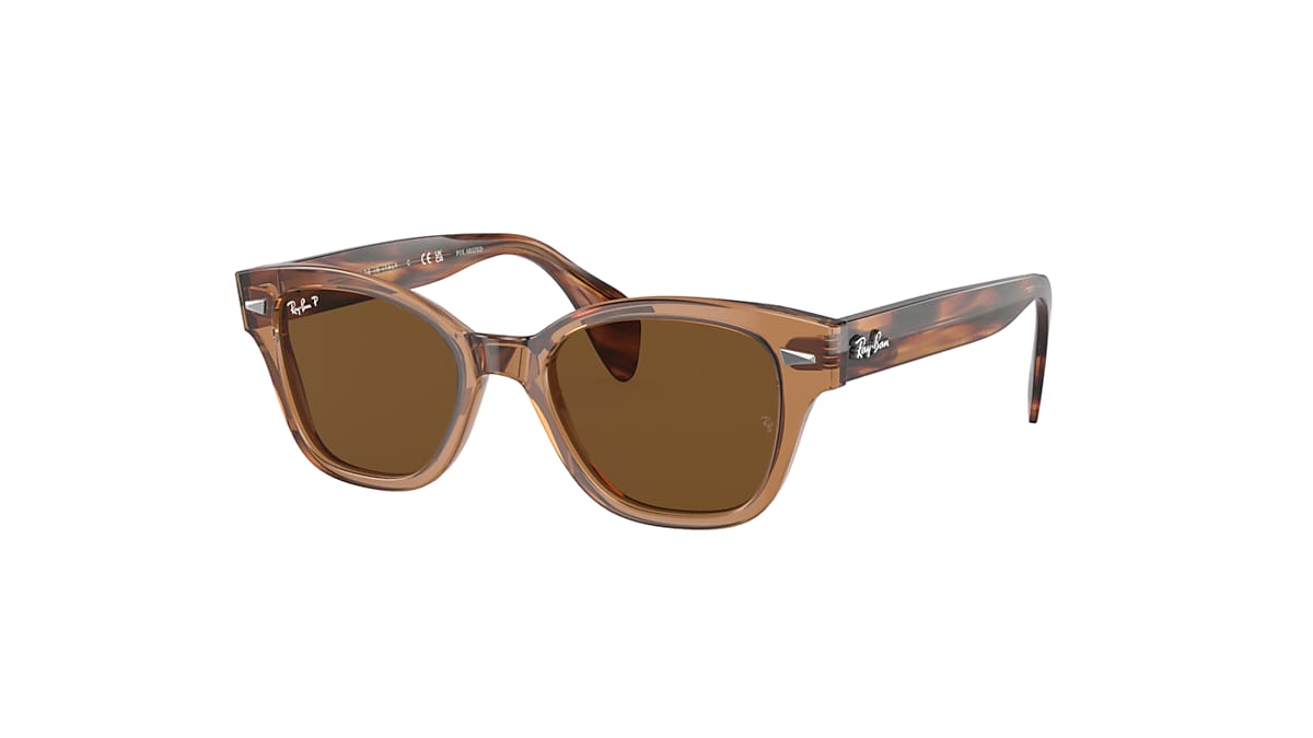 RB0880S Sunglasses in Transparent Brown and Brown - Ray-Ban