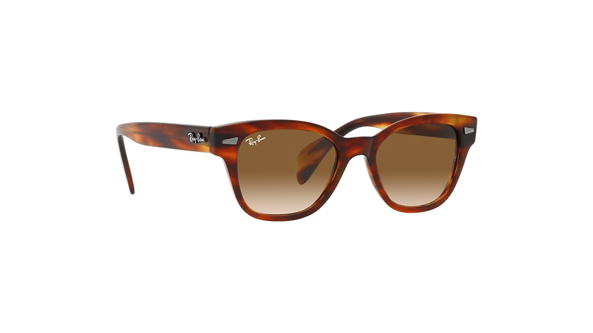 RB0880S Sunglasses in Striped Havana and Brown - RB0880S | Ray-Ban® US
