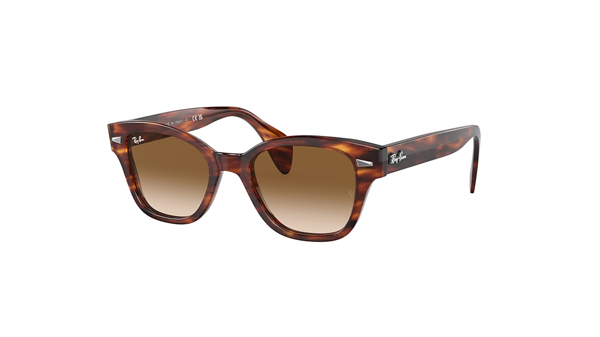 RB0880S Sunglasses in Striped Havana and Brown - RB0880S | Ray-Ban® US