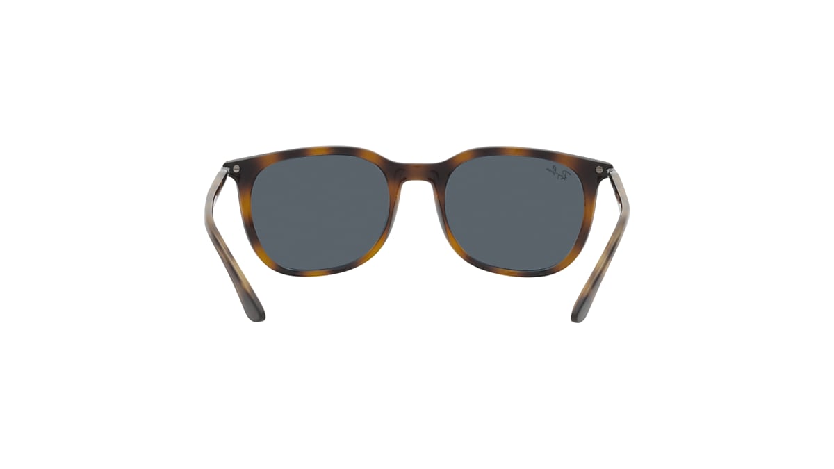 RB4386 Sunglasses in Havana and Blue - RB4386 | Ray-Ban® US