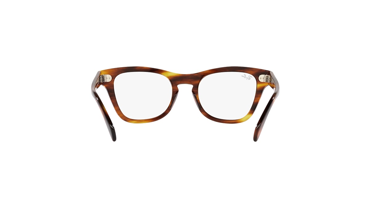 RB0707 OPTICS Eyeglasses with Striped Havana Frame