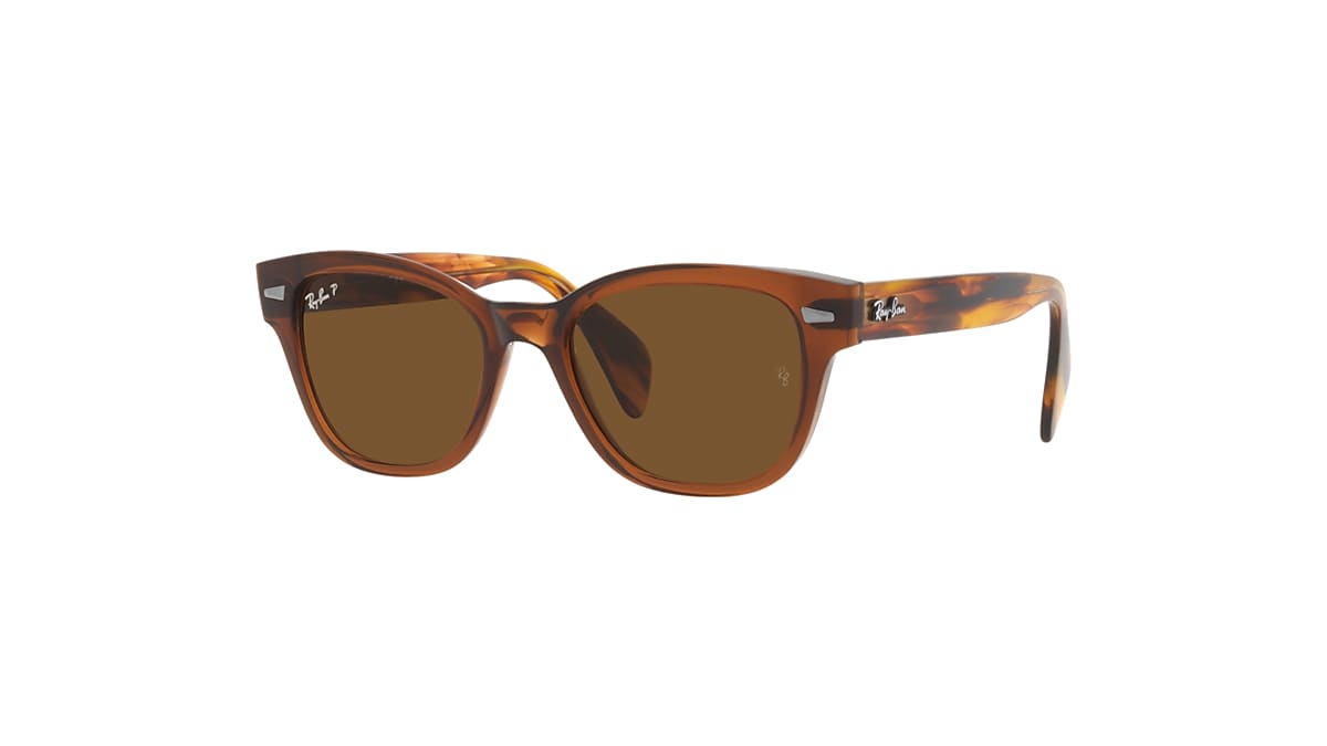 RB0880S Sunglasses in Transparent Brown and Brown - RB0880SF