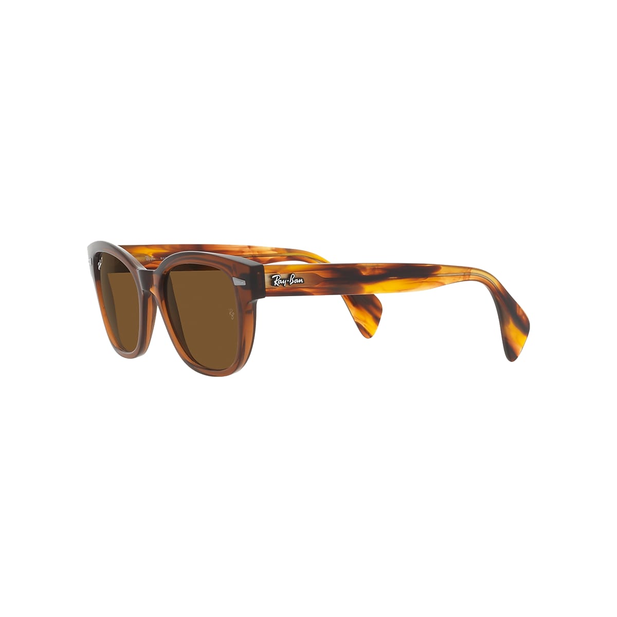 RB0880S Sunglasses in Transparent Brown and Brown - RB0880SF | Ray