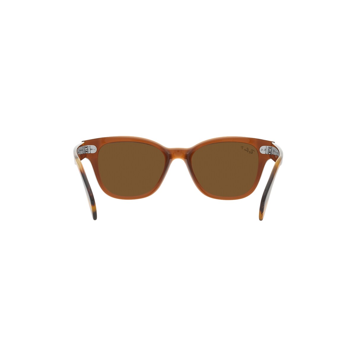 RB0880S Sunglasses in Transparent Brown and Brown - RB0880SF