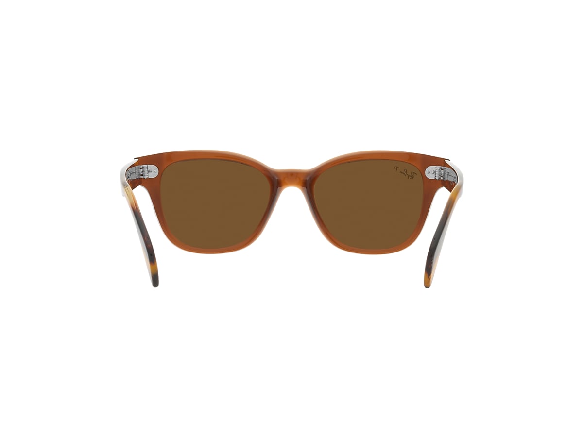 RB0880S Sunglasses in Transparent Brown and Brown - RB0880SF | Ray