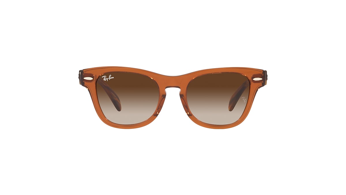 RB9707S KIDS Sunglasses in Transparent Brown and Brown 