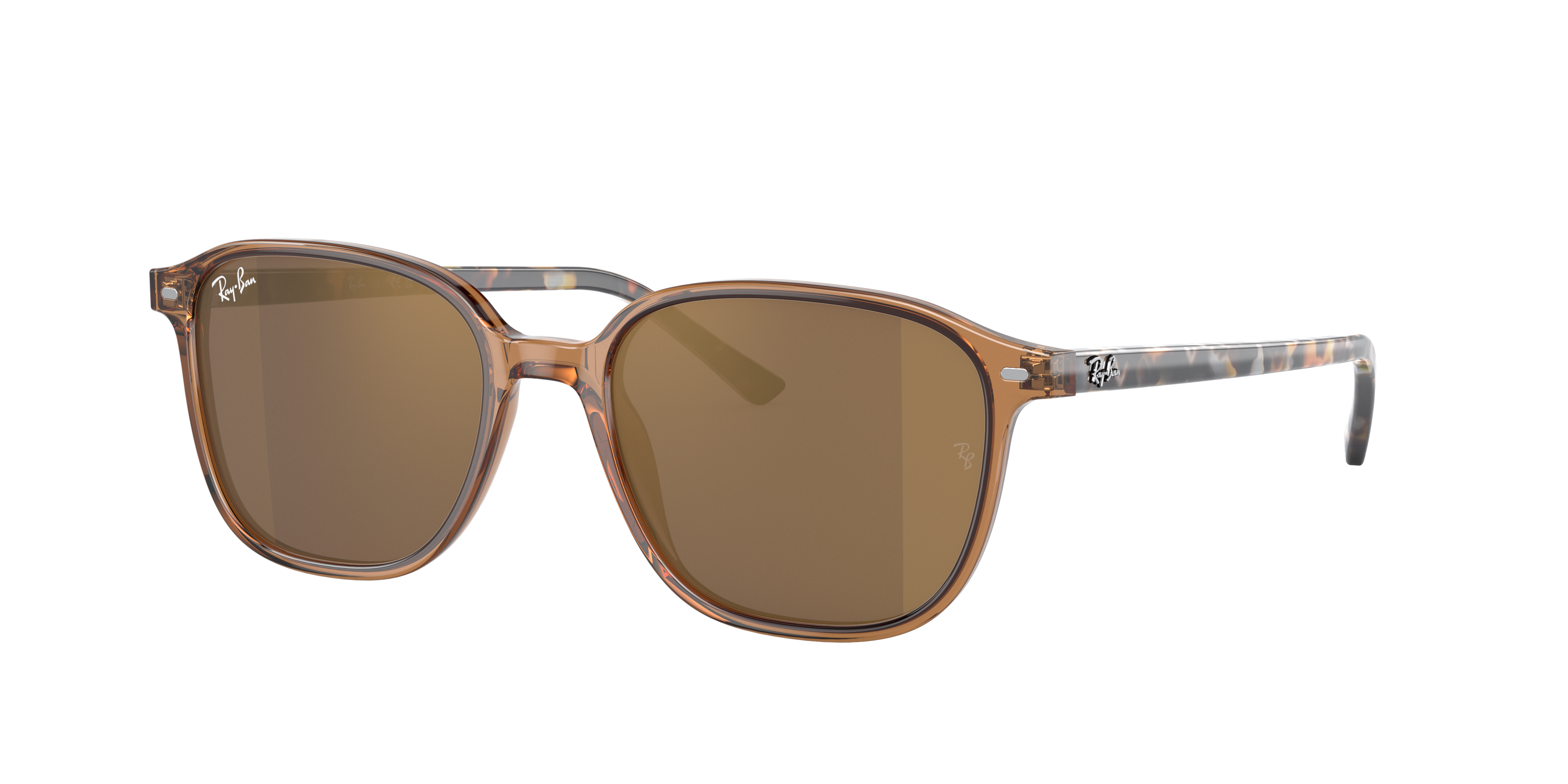 LEONARD Sunglasses in Tortoise and G-15 Green - RB2193 | Ray LEONARD Sunglasses in Tortoise and G-15 Green - RB2193 | Ray