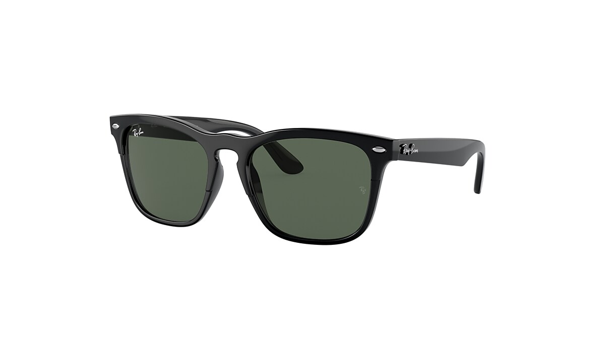 STEVE Sunglasses in Black and Dark Green - RB4487F | Ray-Ban 