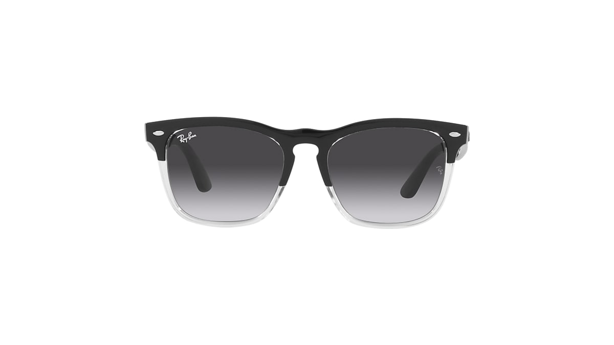 最高級 Ray-Ban◇サングラス/メンズ/RB4387F その他 - www.cfch.org