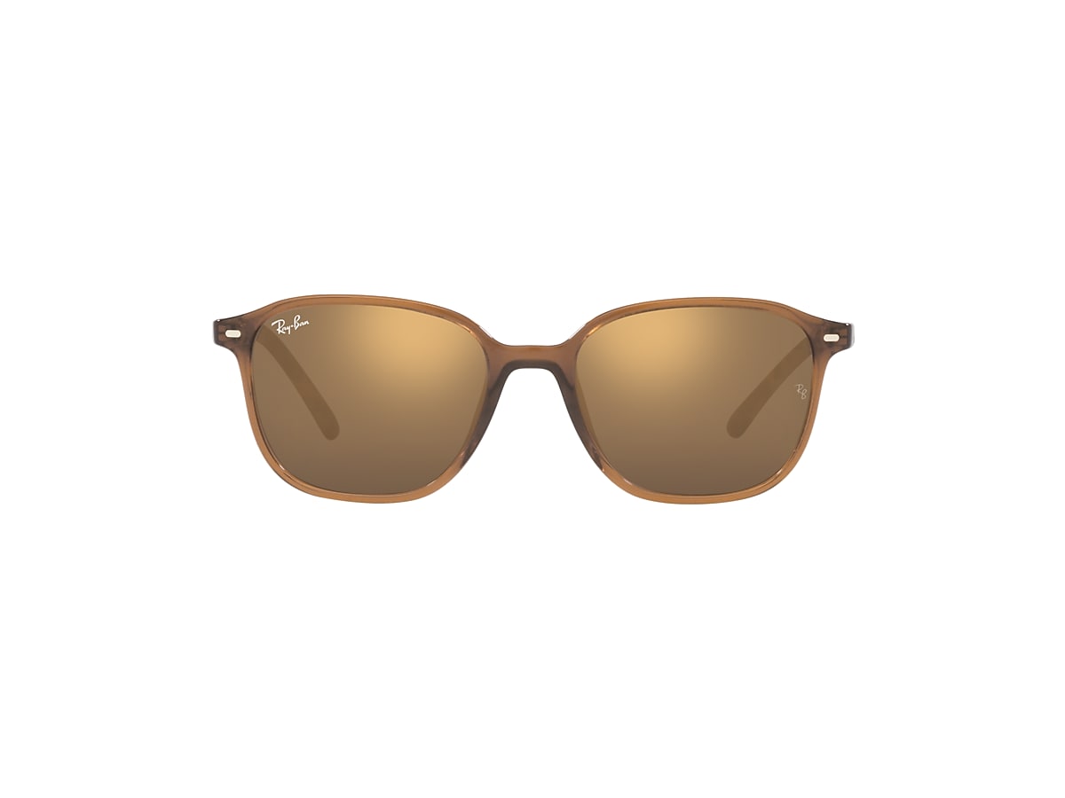 LEONARD Sunglasses in Transparent Brown and Light Brown