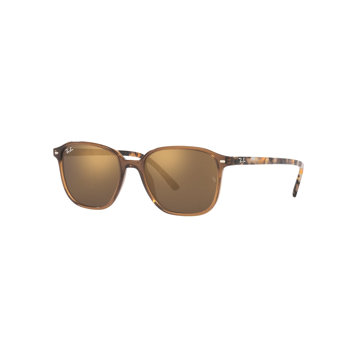 LEONARD Sunglasses in Transparent Brown and Light Brown