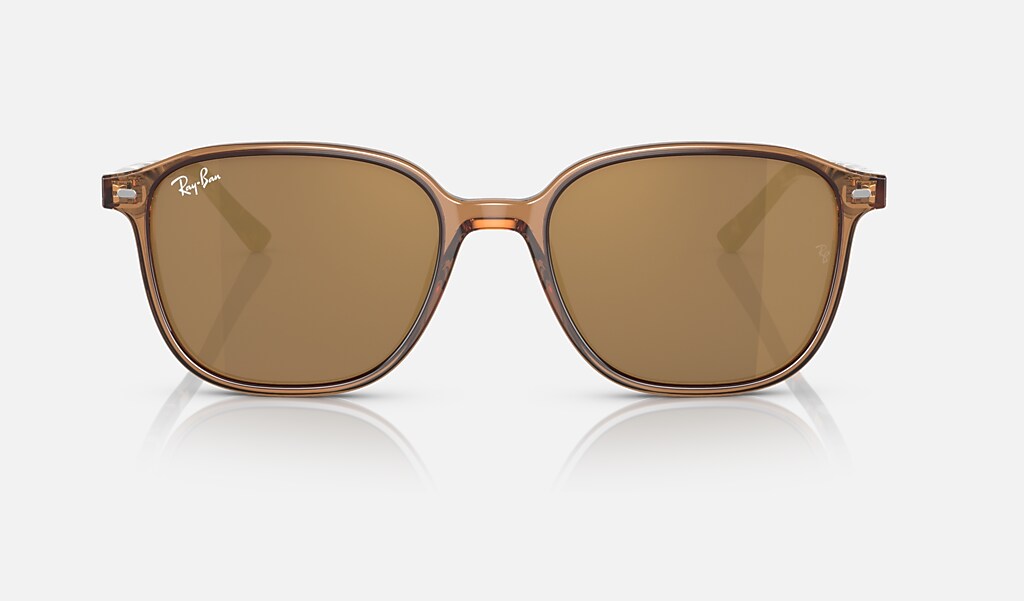 Leonard Sunglasses in Transparent Brown and Light Brown - RB2193F