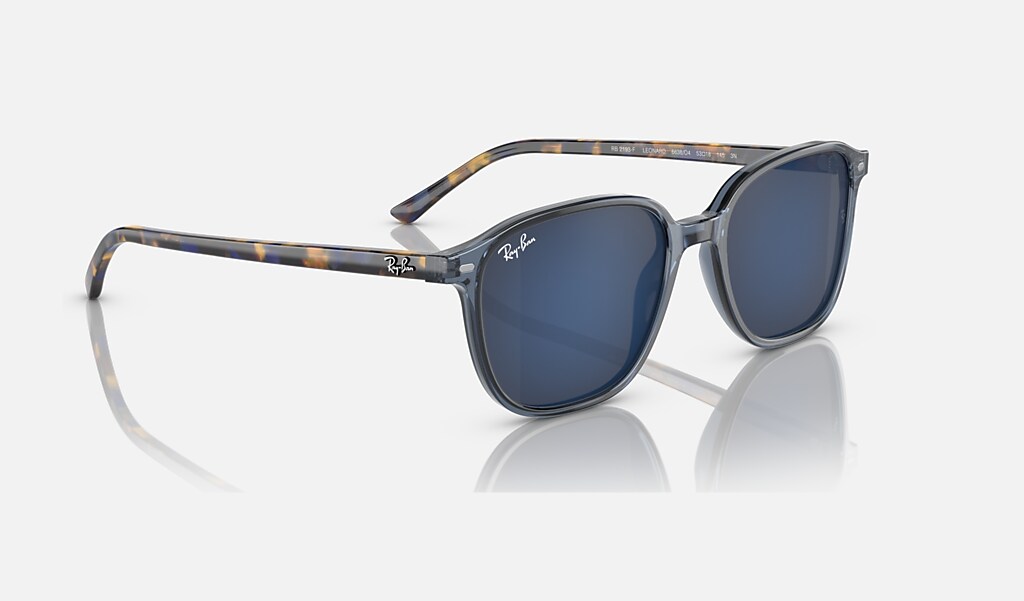 Leonard Sunglasses in Transparent Dark Blue and Blue - RB2193F