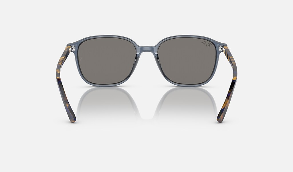 Leonard Sunglasses in Transparent Dark Blue and Blue - RB2193F