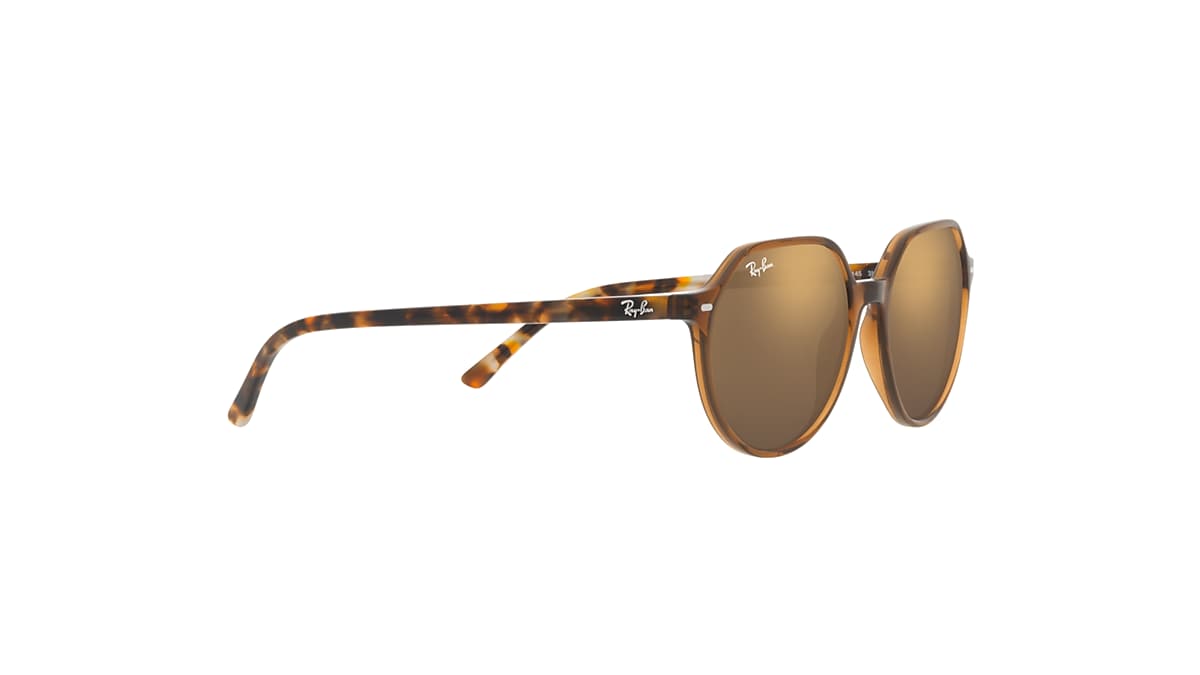 THALIA Sunglasses in Transparent Brown and Gold - Ray-Ban