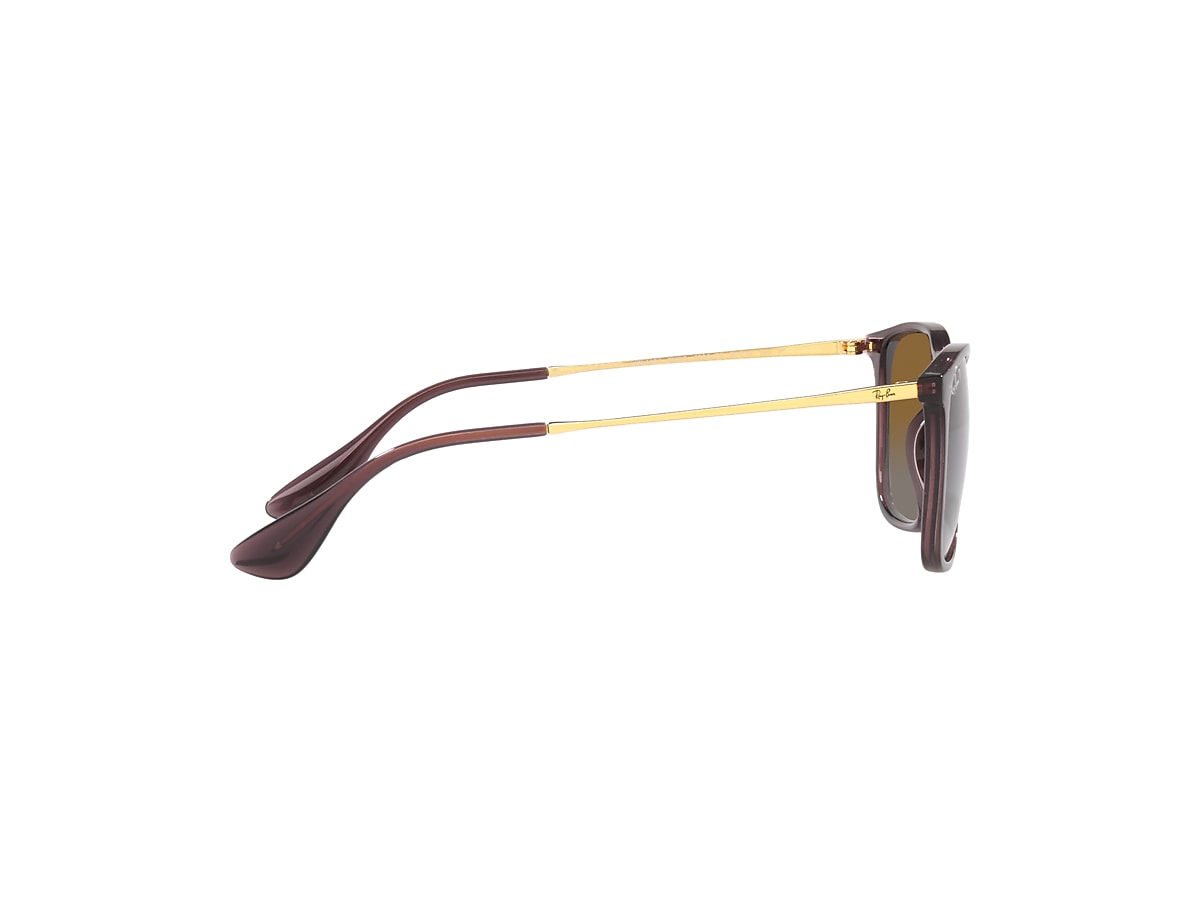 CHRIS Sunglasses in Transparent Brown and Brown RB4187 Ray Ban US