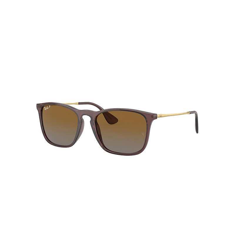 Ray Ban Chris Sunglasses Gold Frame Brown Lenses Polarized 54-18 In Gold