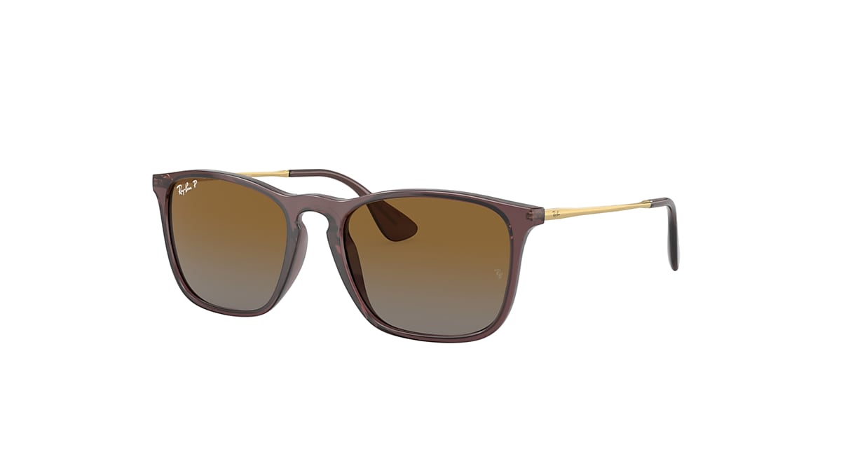 CHRIS Sunglasses in Transparent Brown and Brown - Ray-Ban