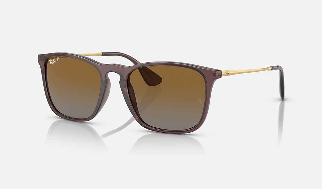 Chris Sunglasses in Transparent Brown and Brown | Ray-Ban®