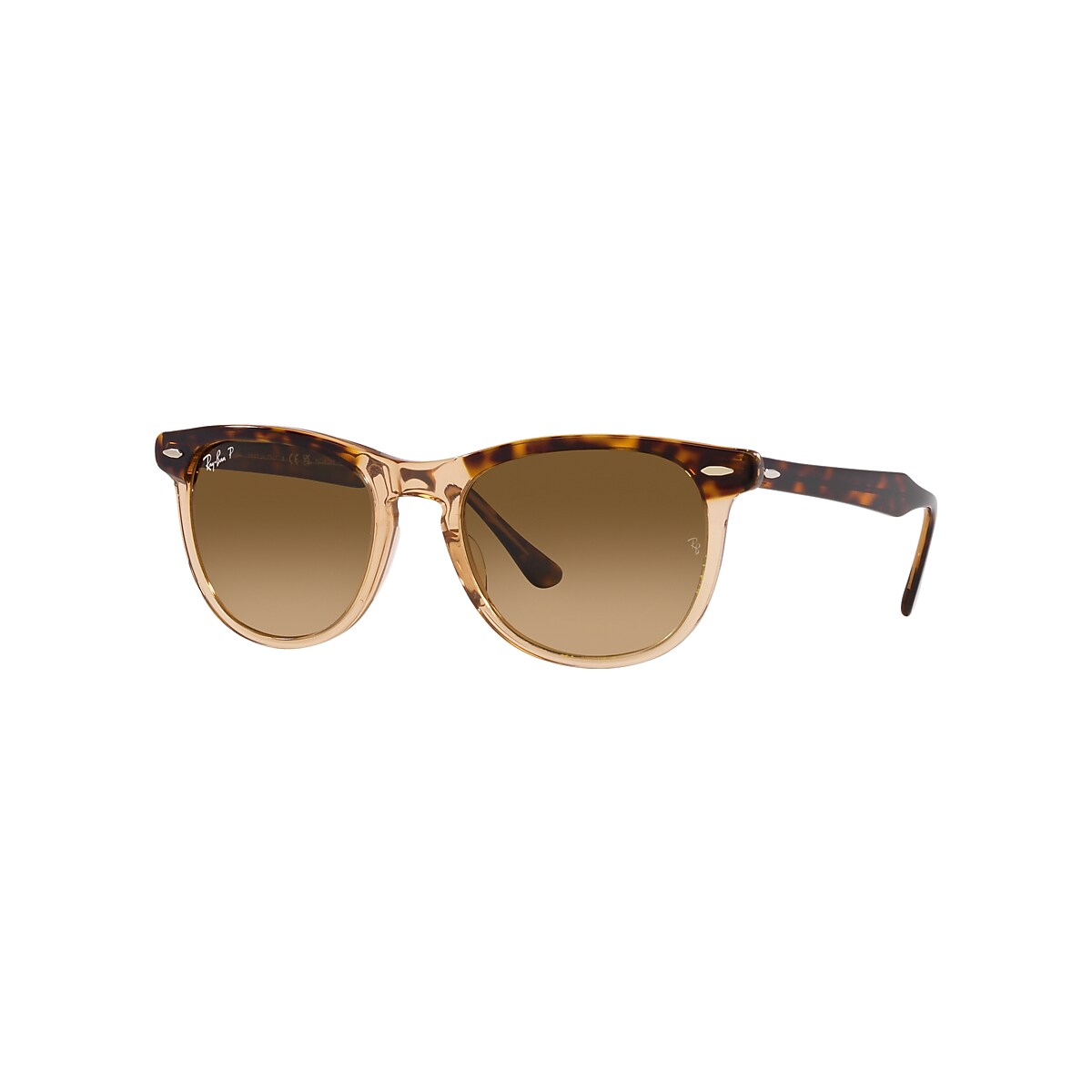EAGLE EYE Sunglasses in Havana On Transparent Brown and 