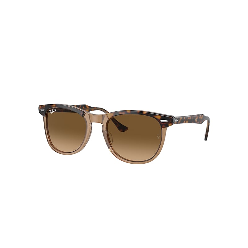 Shop Ray Ban Sunglasses Unisex Eagle Eye - Havana On Transparent Brown Frame Brown Lenses Polarized 53-21