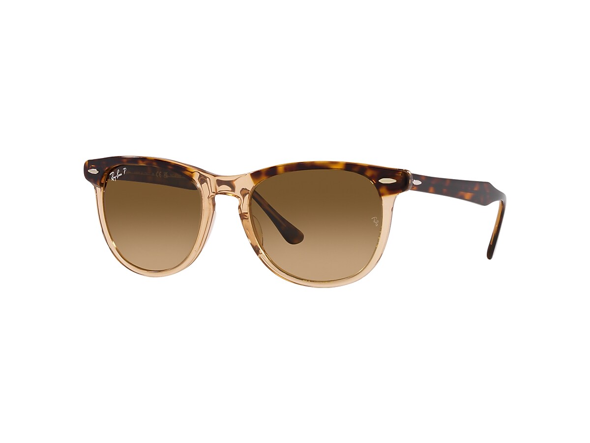 Ray ban havana store eyeglasses