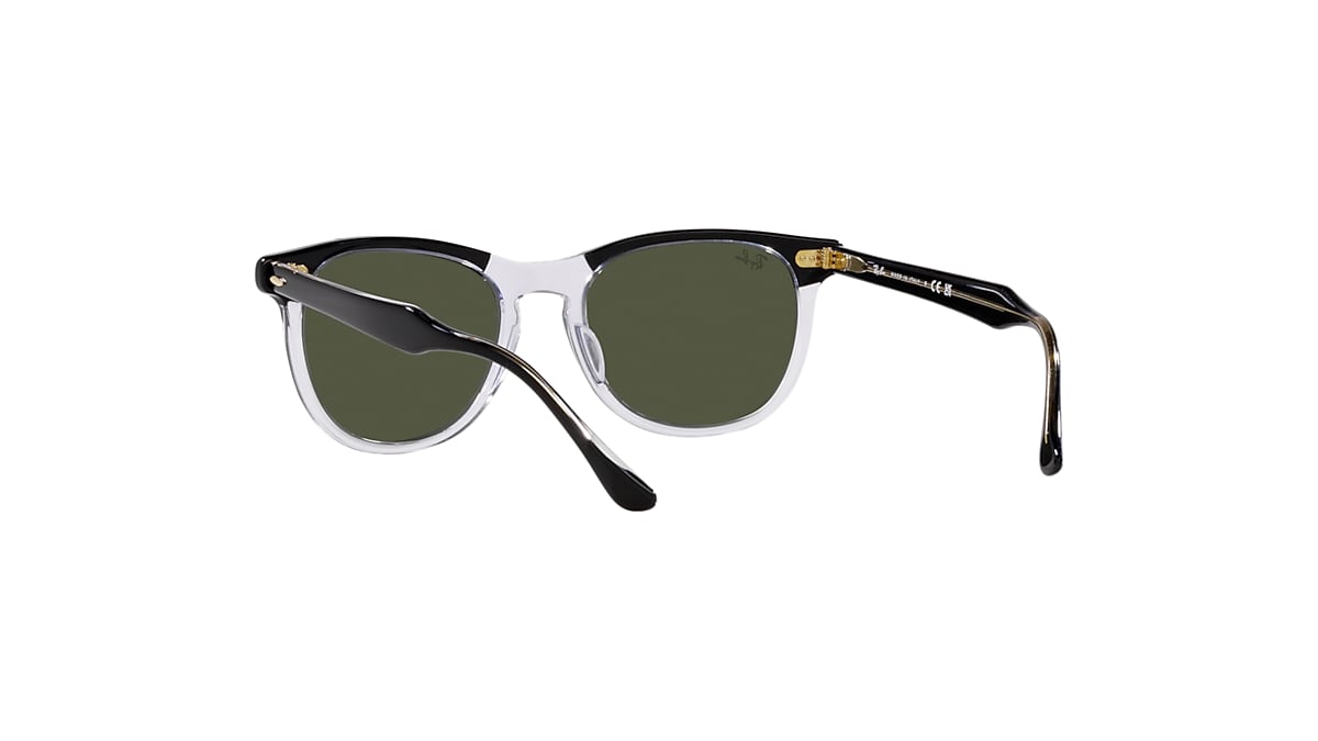 EAGLE EYE Sunglasses in Black On Transparent and Green 