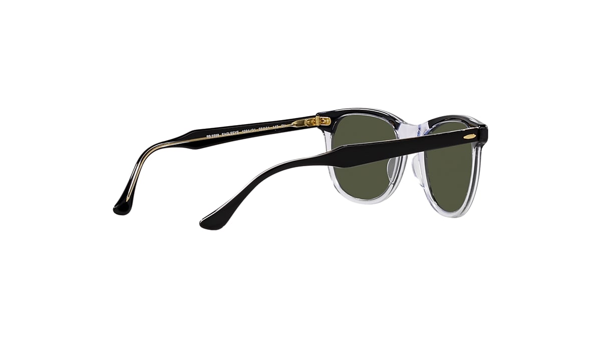 EAGLE EYE Sunglasses in Black On Transparent and Green - RB2398