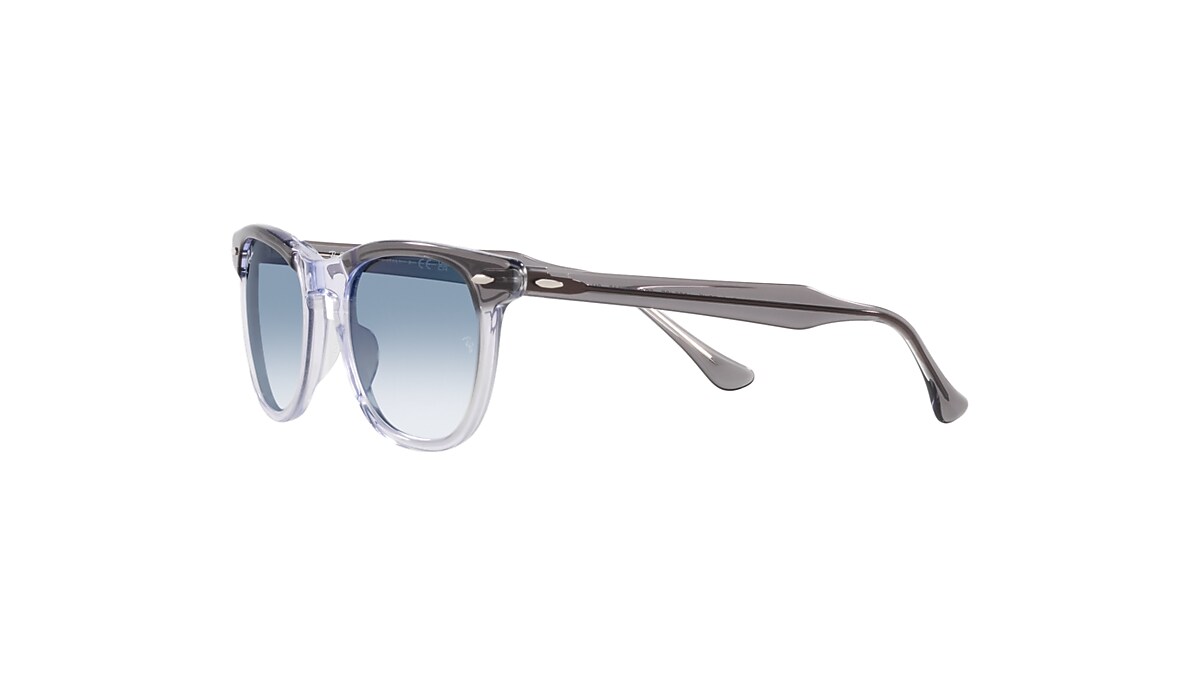 EAGLE EYE Sunglasses in Grey On Transparent and Blue - RB2398 | Ray-Ban® US