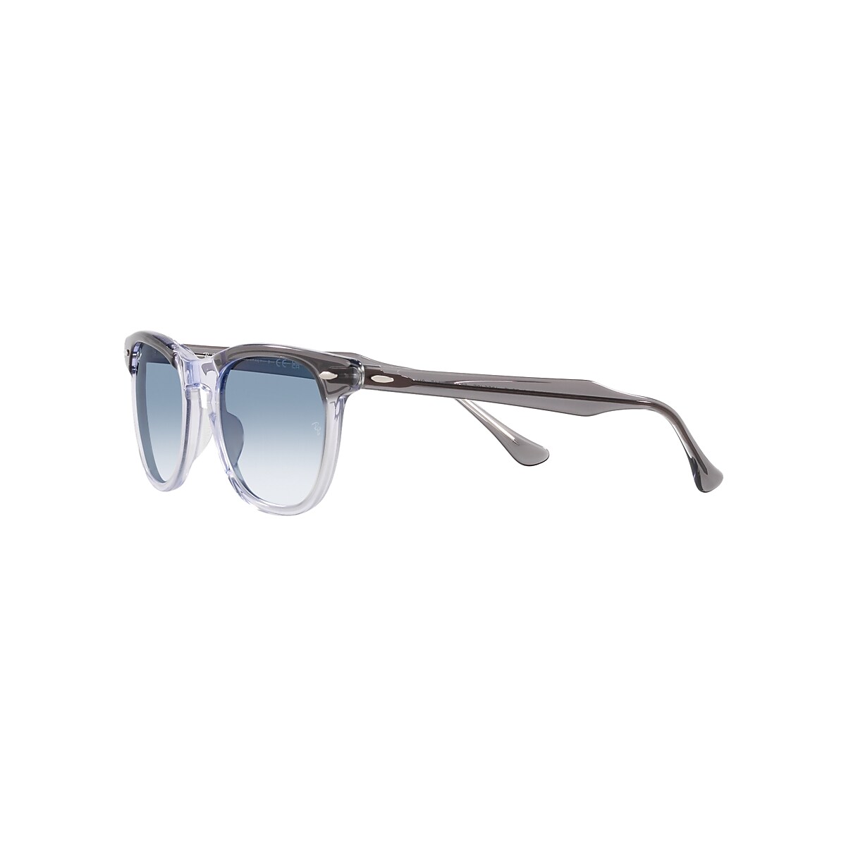 EAGLE EYE Sunglasses in Grey On Transparent and Blue - RB2398 