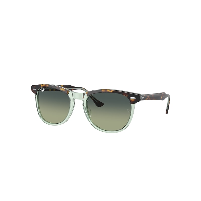 Ray Ban Sunglasses Unisex Eagle Eye - Havana On Transparent Green Frame Green Lenses 53-21