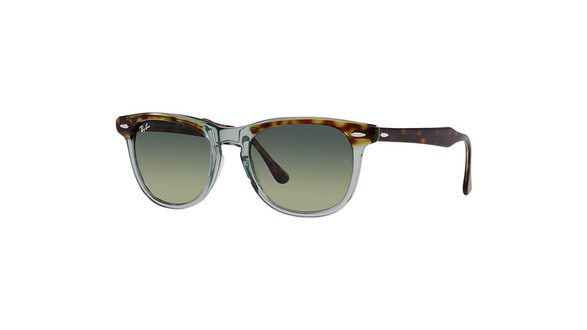 EAGLE EYE Sunglasses in Havana On Transparent Green and Green